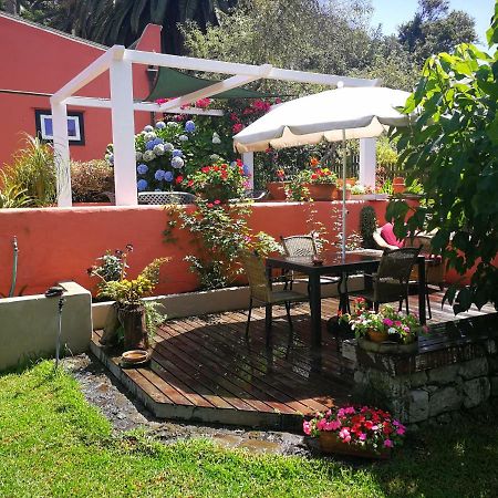 Jardines De Hortensia - Vacation Home Tenerife 拉拉古纳 外观 照片