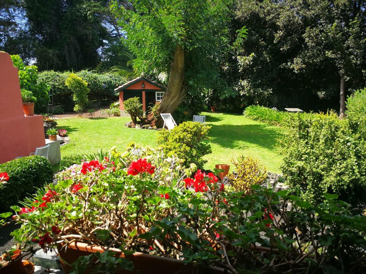 Jardines De Hortensia - Vacation Home Tenerife 拉拉古纳 外观 照片