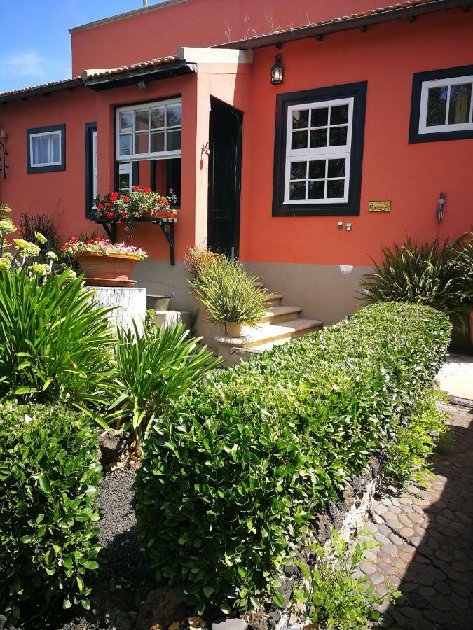 Jardines De Hortensia - Vacation Home Tenerife 拉拉古纳 外观 照片